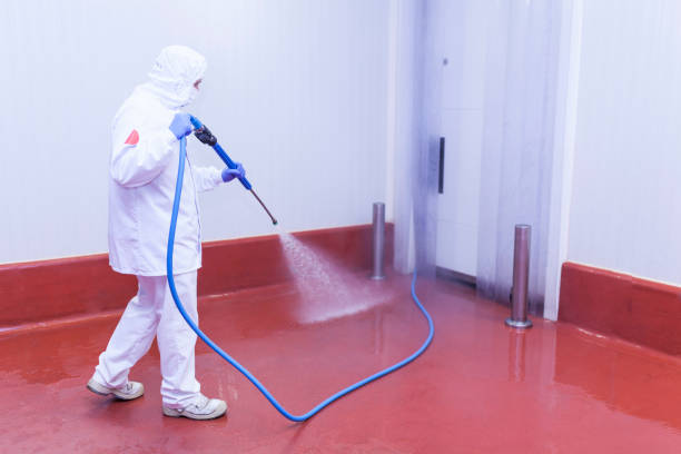 Best Driveway Pressure Washing  in Lorenzo, TX